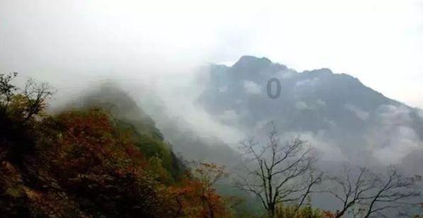 生化危机2：重置版